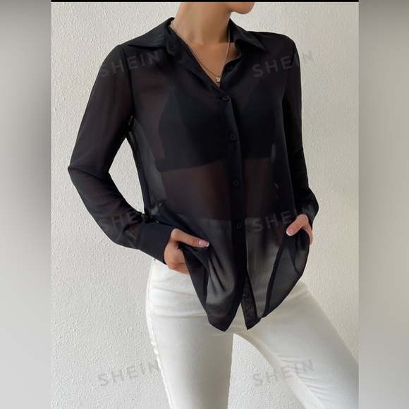 Extra Sheer Collared Button Up Blouse - Picture 3 of 6